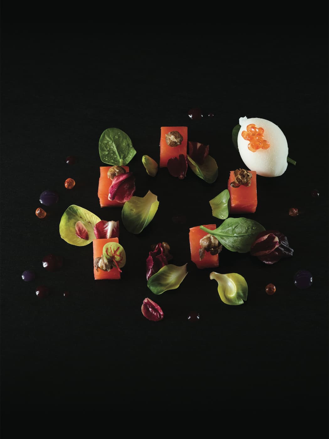 Salmone Upstream e sorbetto alla vodka